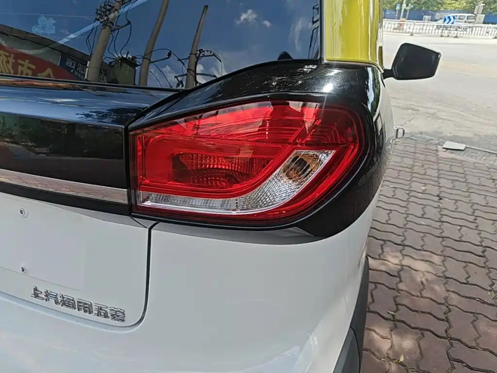 Baojun E100 2021 2020 305KM Intelligent Edition