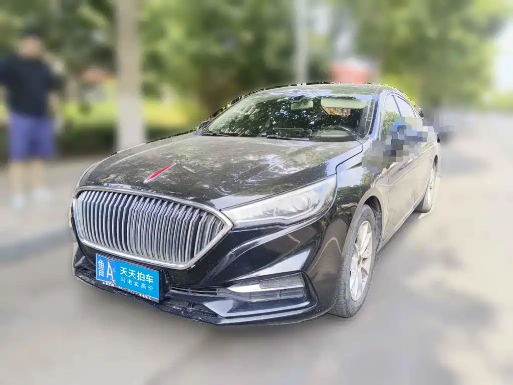 Hongqi Hongqi H5 2019 30TD Style Edition