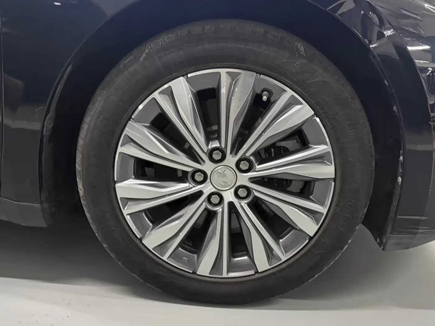 Hongqi E-QM5 2023 620km PLUS фото 4