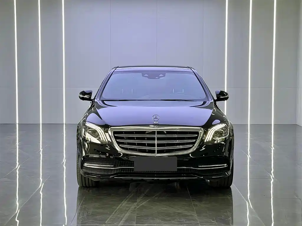 Mercedes-Benz S-Class 2020 S 350 L Premium Edition Collector's Version фото 2