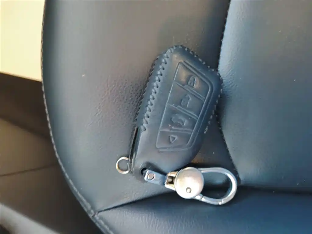 HYUNDAI LEAD