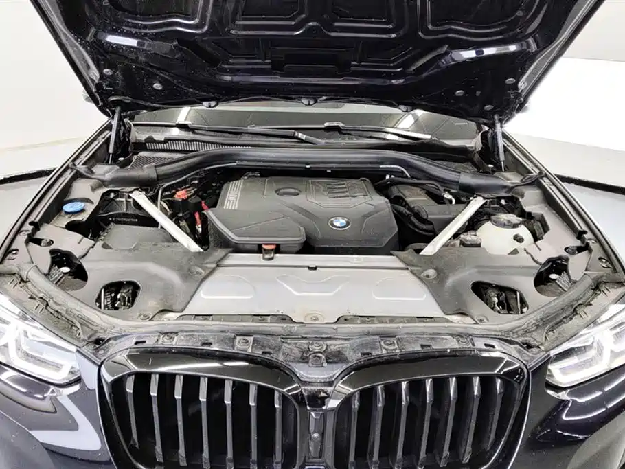 BMW X3 2023 xDrive30i Leading M Night Package фото 10