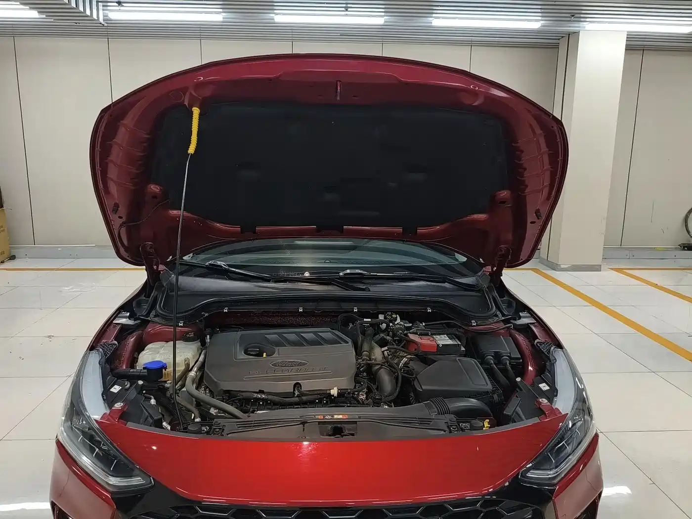Ford Focus 2023 2022 Sedan EcoBoost 180 Auto Speed Edition