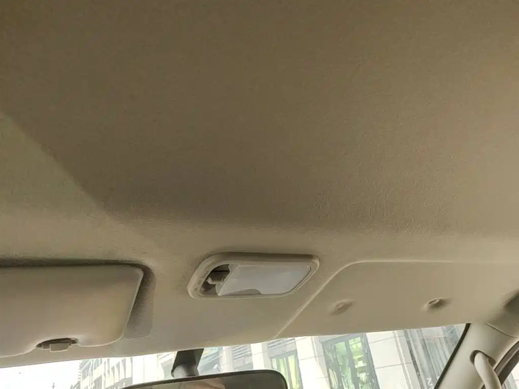 DONGFENG POPULAR LINGZHI