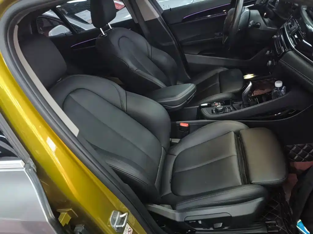 BMW X2 (Import) 2019 2018 sDrive25i Leading M Off-road Package China V