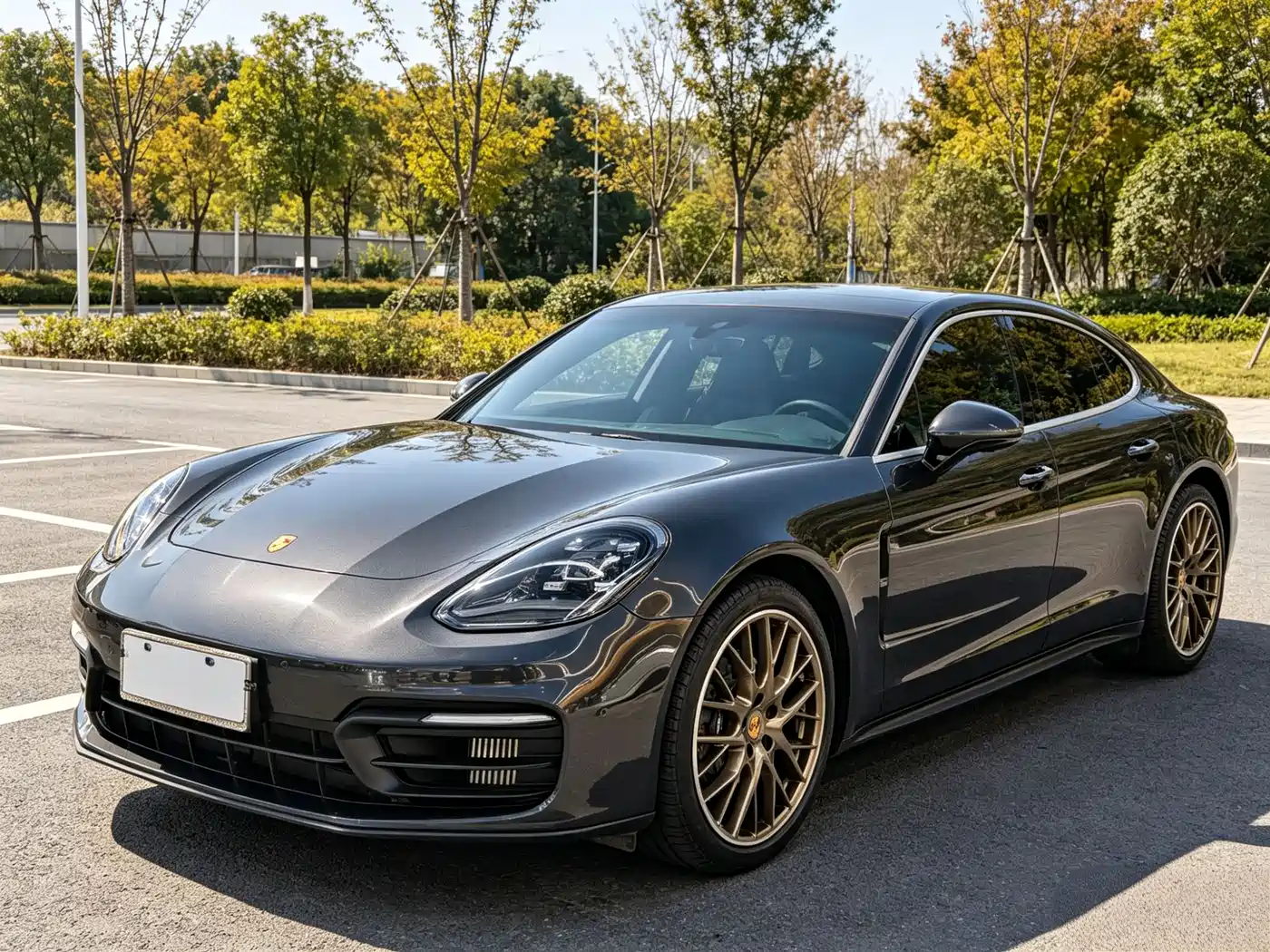 Porsche Panamera 2023 Panamera 2.9T
