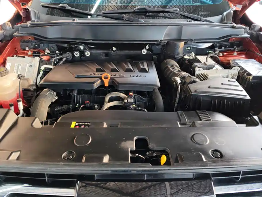 Haval Big Dog 2021 1.5T DCT 2WD Border Collie Edition фото 10