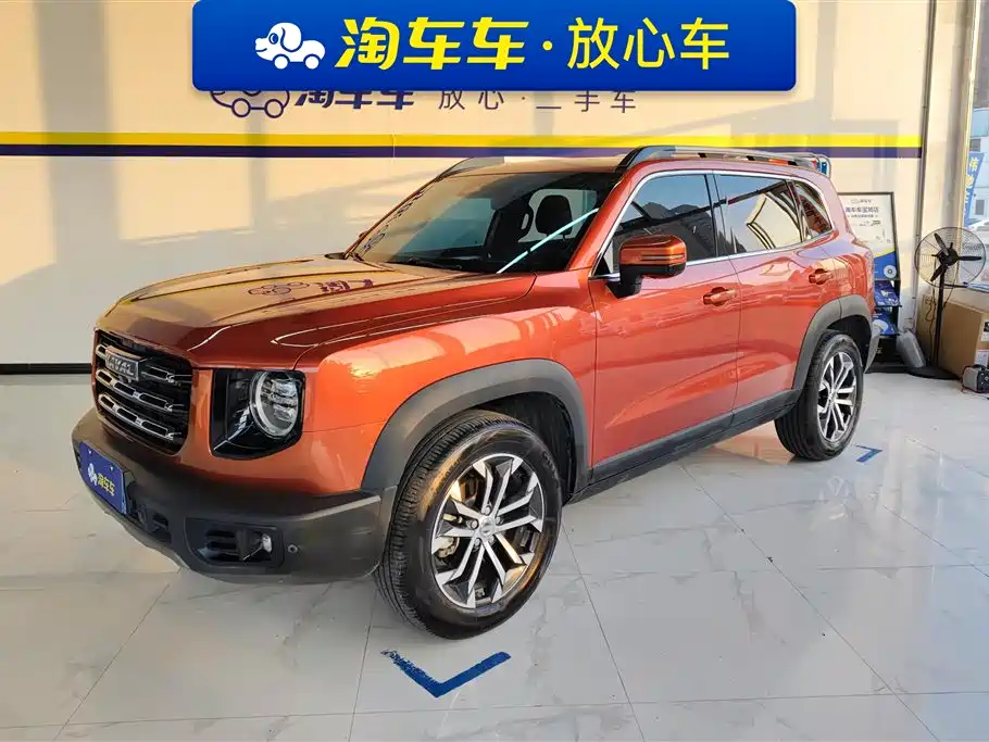 Haval Big Dog 2021 1.5T DCT 2WD Border Collie Edition