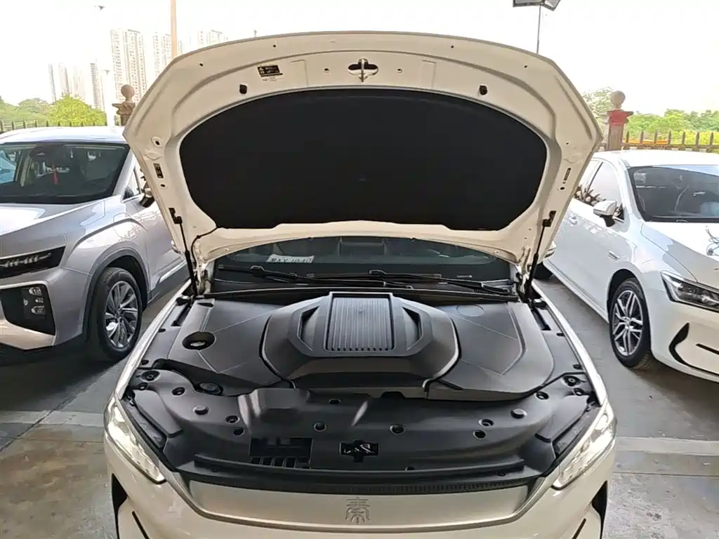 BYD Qin PLUS 2021 EV 500KM Luxury Model фото 20