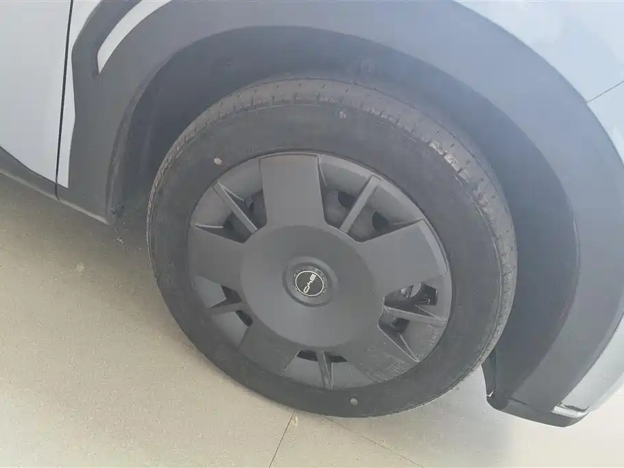 BYD Seagull 2024 Glory Edition 305km Vitality Edition фото 6