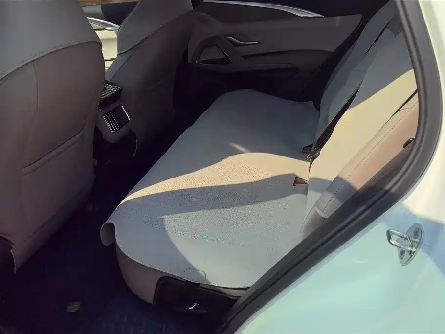 BYD SONGJIANG NEW ENERGY