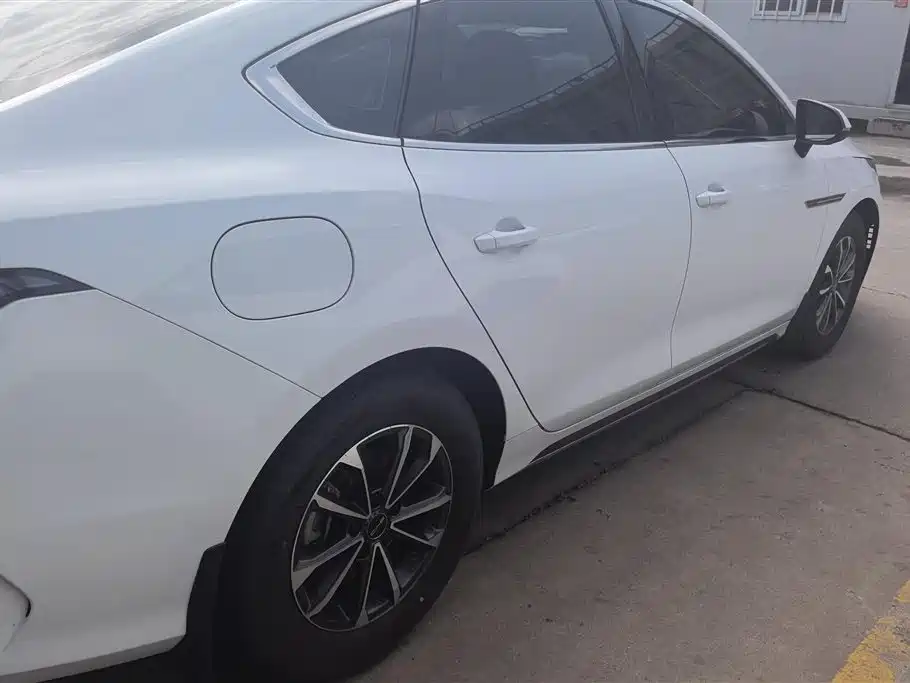 BYD Destroyer 05 2024 Glory Edition DM-i 55KM Luxury фото 3