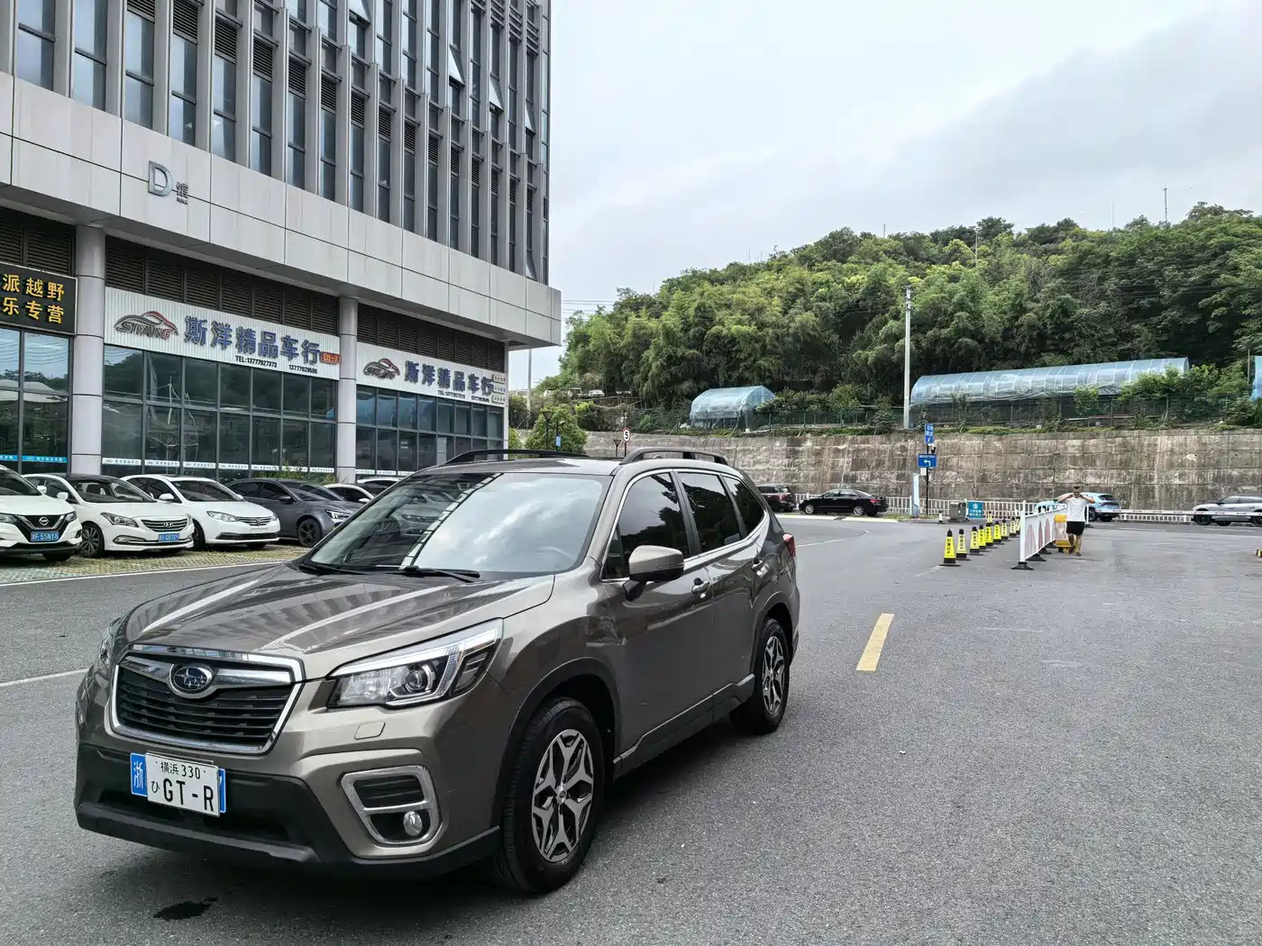 Subaru Forester 2019 2.0i Luxury Edition EyeSight фото 3