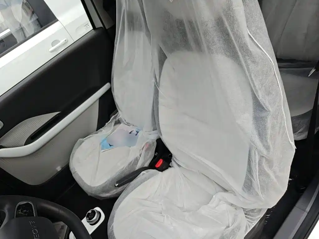 Geely Galaxy Panda 2026 2025 Panda mini 210km Vitality Bear