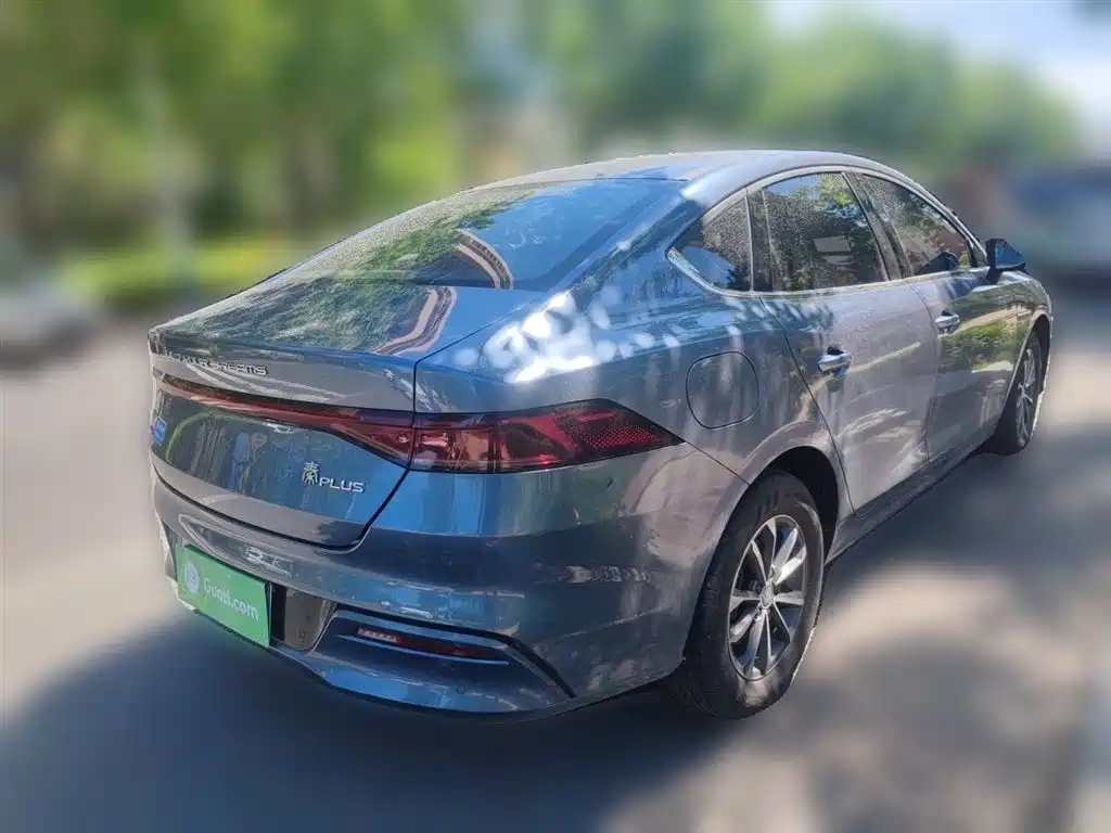 BYD Qin PLUS 2024 Glory Edition DM-i 55KM Leading фото 5