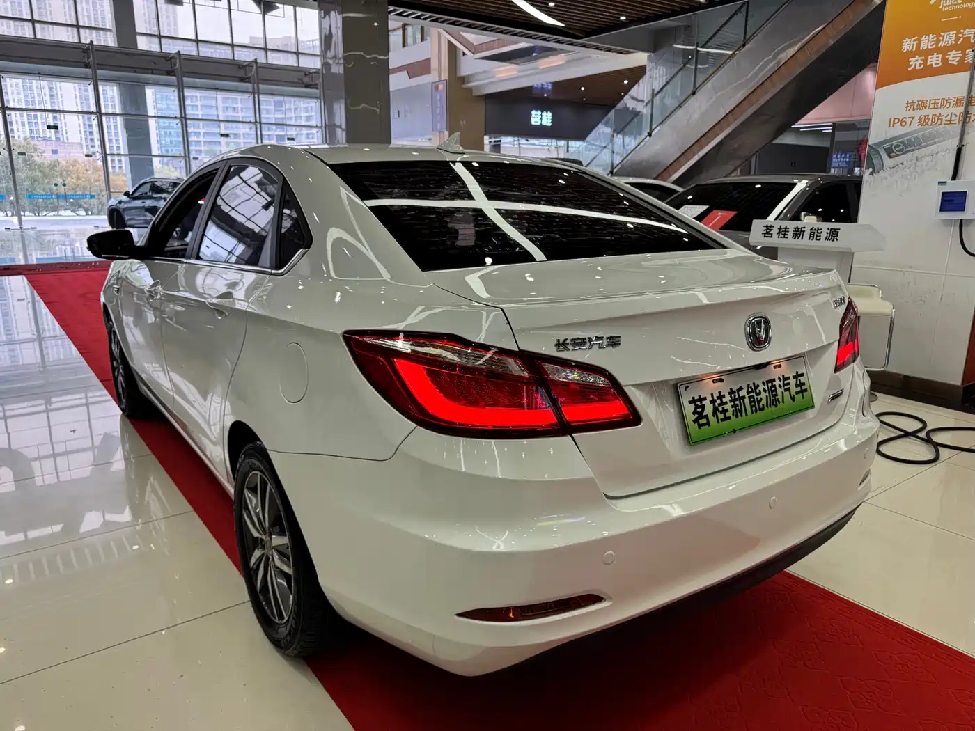 CHANGAN YIDONG NEW ENERGY