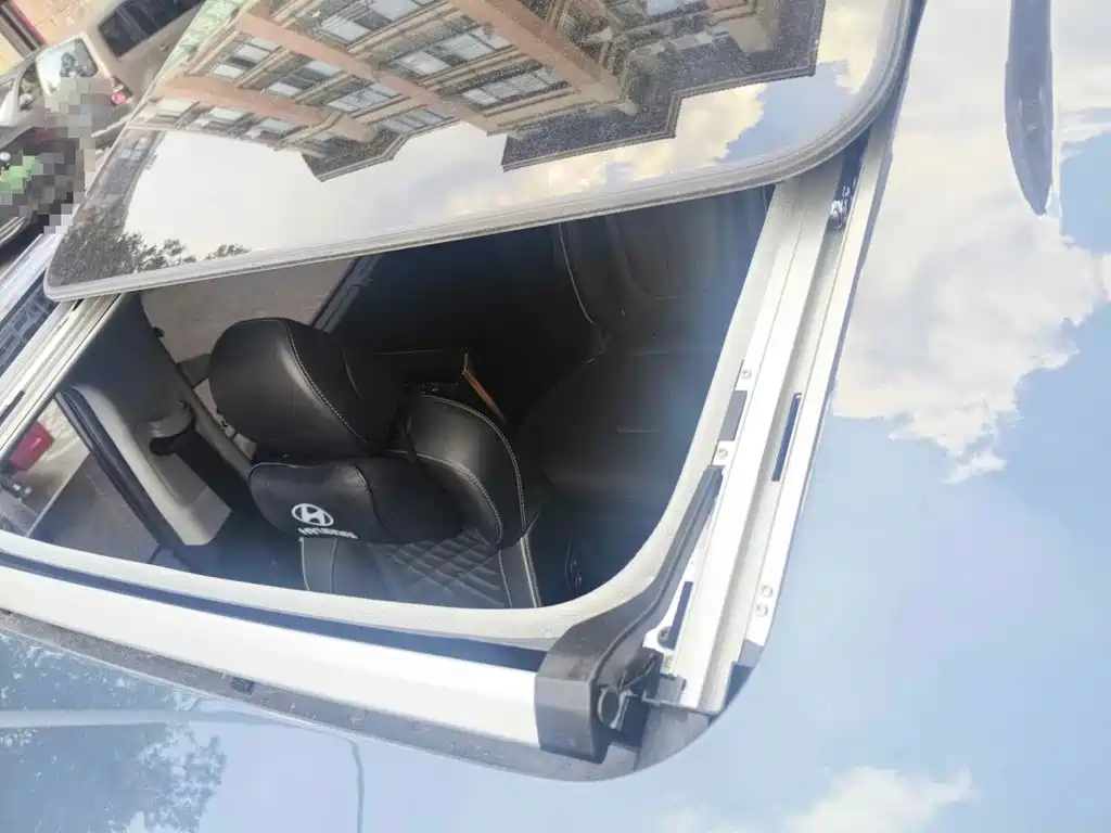 صورة 6 - Hyundai Custo