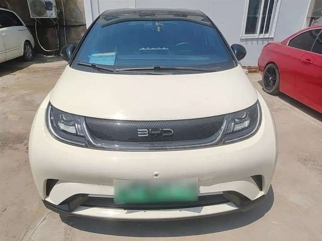 BYD Dolphin 2025 420km Freedom Edition фото 3