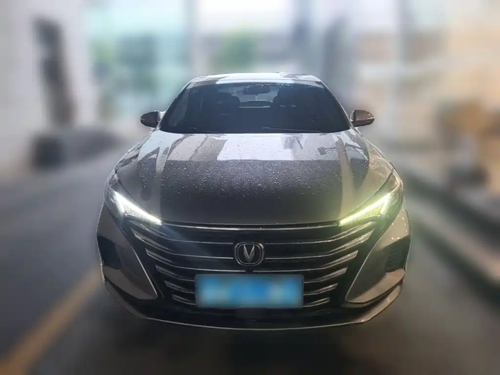 Фото 5 - Changan Eado