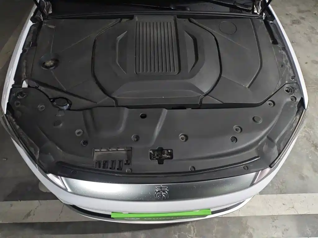 BYD Qin PLUS 2021 EV 500KM Luxury Model фото 11