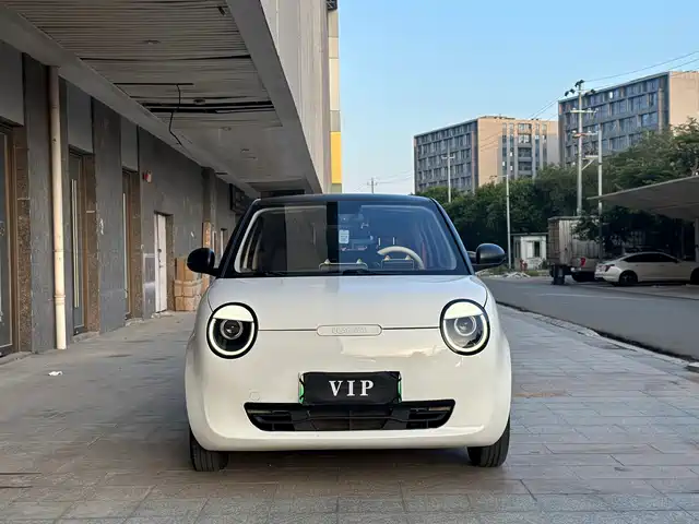  Changan Qiyuan Changan Lumin 2023 Model 205km Fragrant Edition