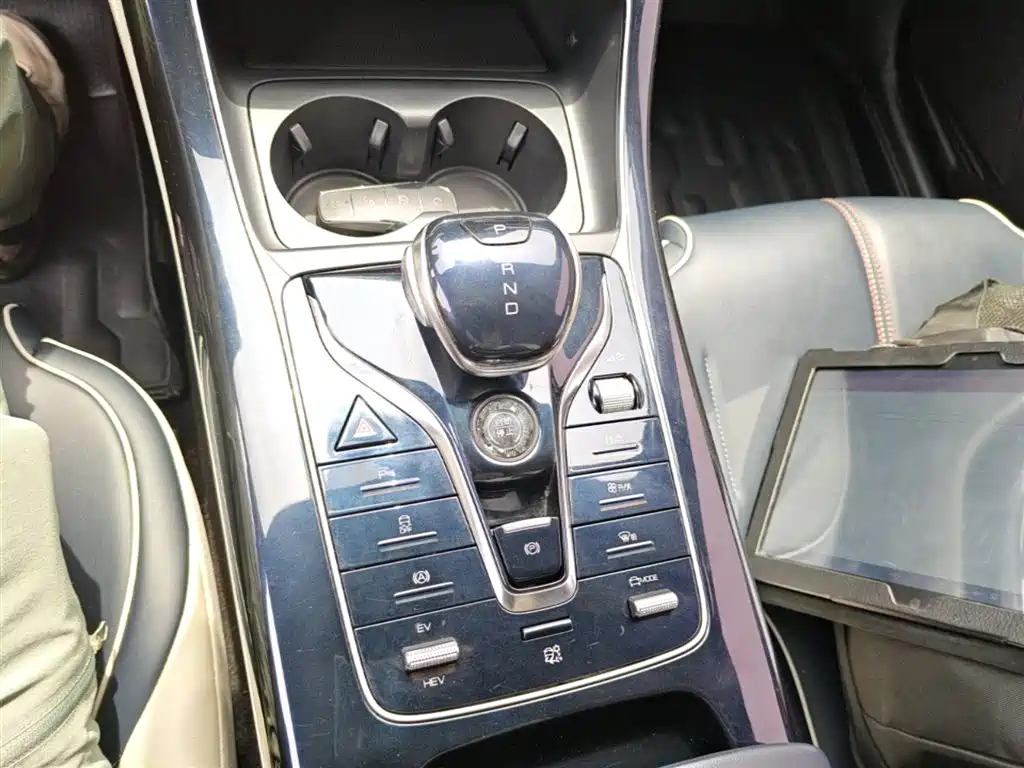 BYD Qin PLUS 2021 DM-i 120KM Premium фото 14