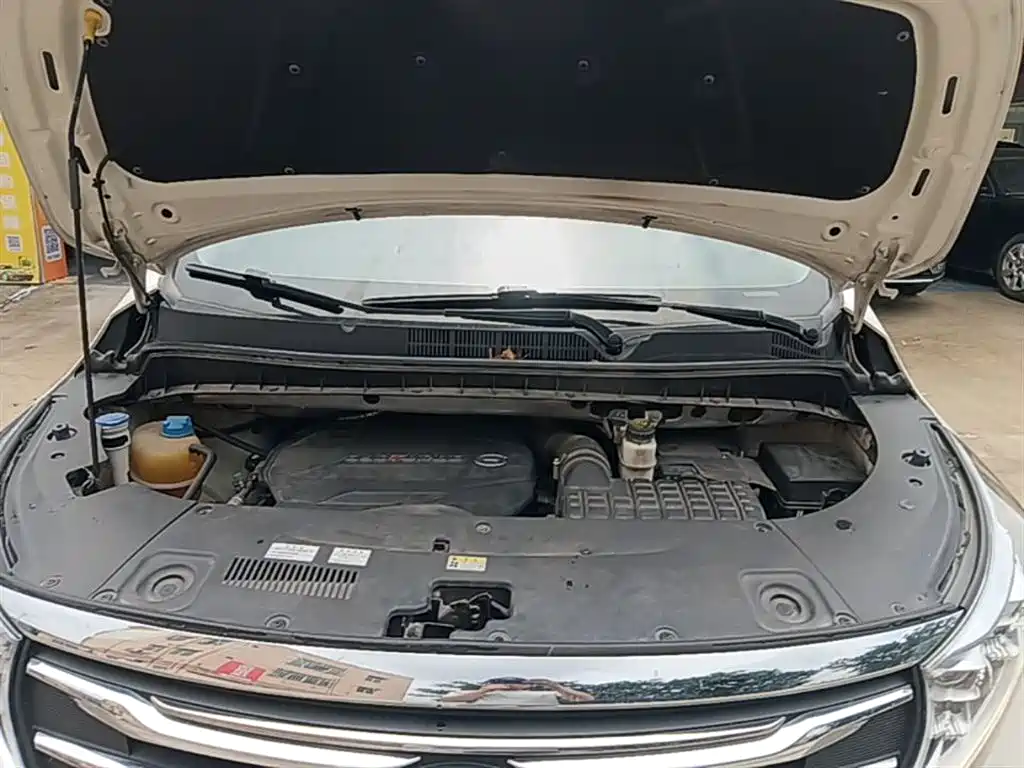 GAC Trumpchi Trumpchi M8 2020 390T Premium фото 20