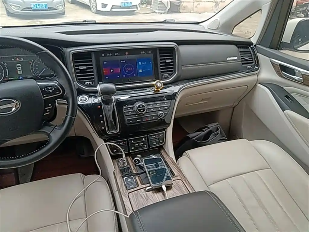 GAC Trumpchi Trumpchi M8 2020 390T Premium фото 13