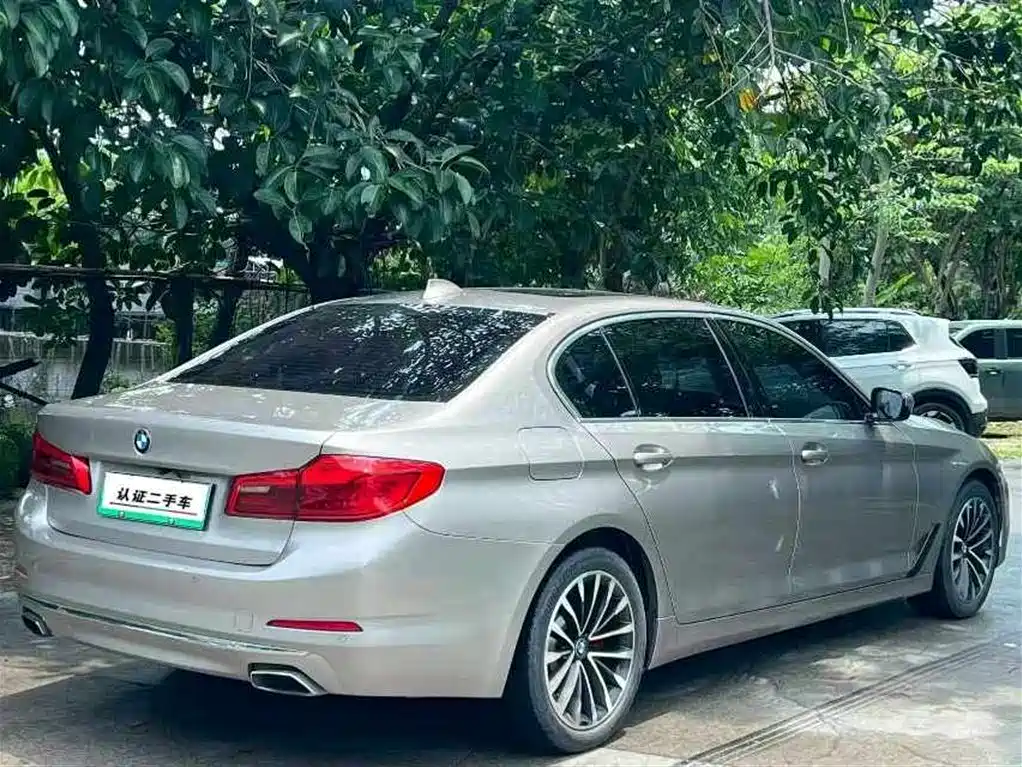 BMW 5 Series New Energy 2020 530Le Luxury Package фото 9