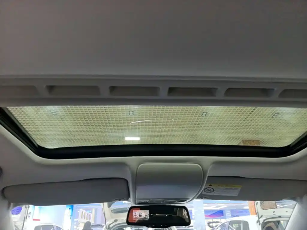Volkswagen Polo 2016 2016 1.6L Cross Polo Automatic