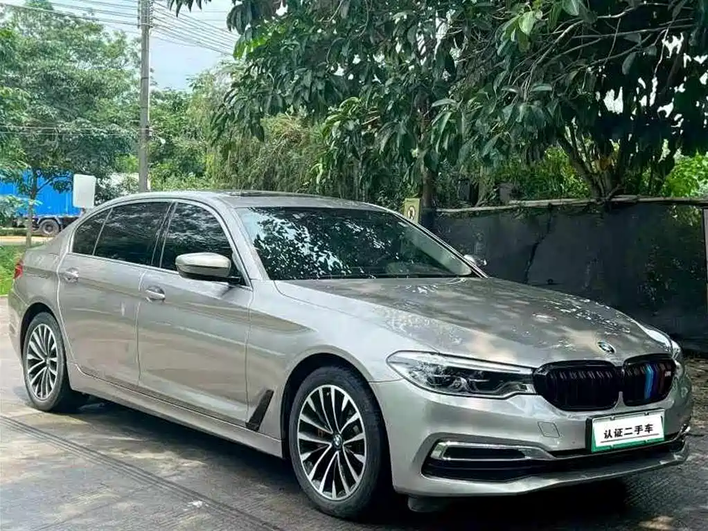 BMW 5 Series New Energy 2020 530Le Luxury Package