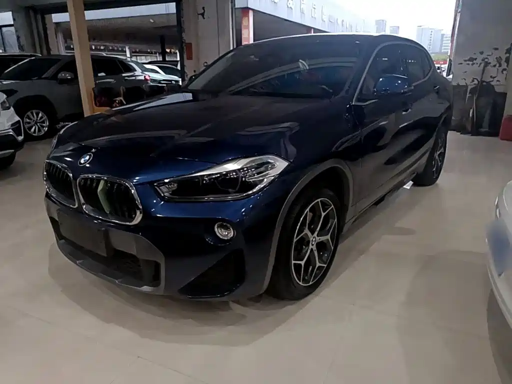 BMW X2 (Import) 2019 2019 sDrive20i M Off-Road Package China VI