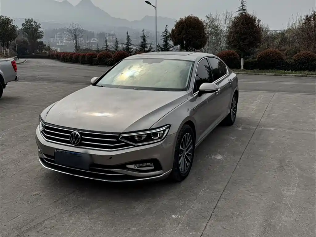 Volkswagen Magotan 2020 330TSI DSG Luxury фото 2