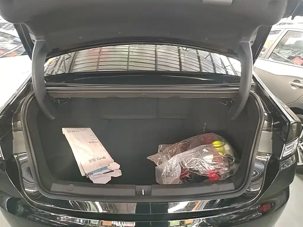 BYD Destroyer 05 2024 Glory Edition DM-i 55KM Luxury фото 19