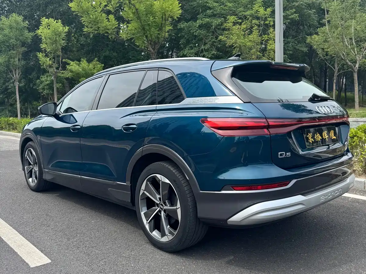 Audi Q5 e-tron 2022 40 e-tron Starlight Edition Brocade Package фото 6