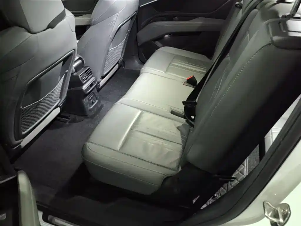 Audi Q5 e-tron 2022 40 e-tron Starlight Edition Brocade Package фото 17