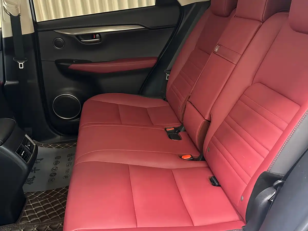 Lexus NX 2020 200 AWD F Sport China V фото 8