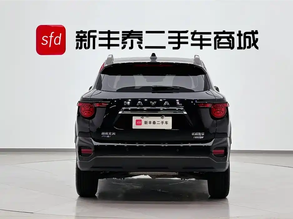 Haval Second-Generation Big Dog New Energy 2023 DHT-PHEV 105km Trendy Electric Edition Plus фото 7