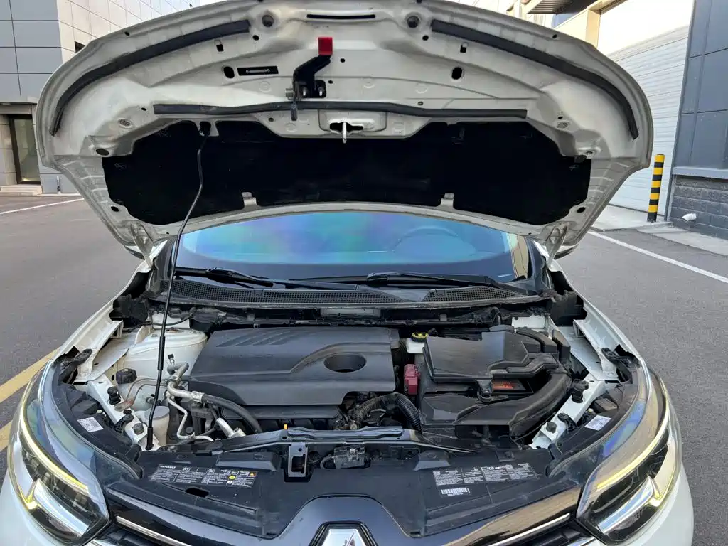 Renault Kadjar 2017 2017 2.0L 2WD Luxury Edition