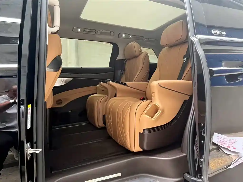 Denza D9 2024 DM-i 980 AWD Premium фото 14