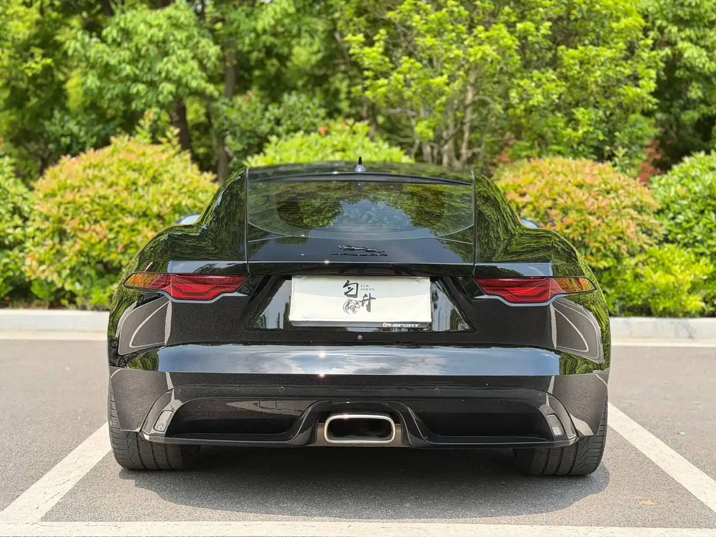 Jaguar F-TYPE 2022 P300 Hardtop R-DYNAMIC BLACK фото 8
