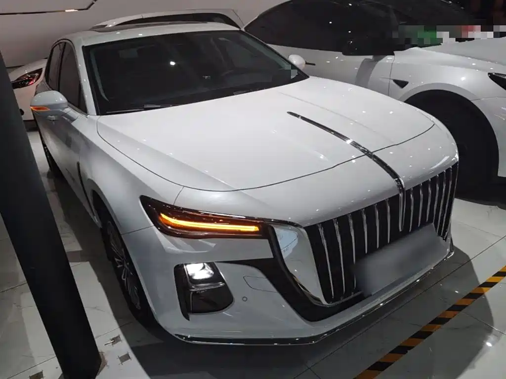 Hongqi H5 2023 2.0T Auto Smart Connect Flag Enjoy фото 4