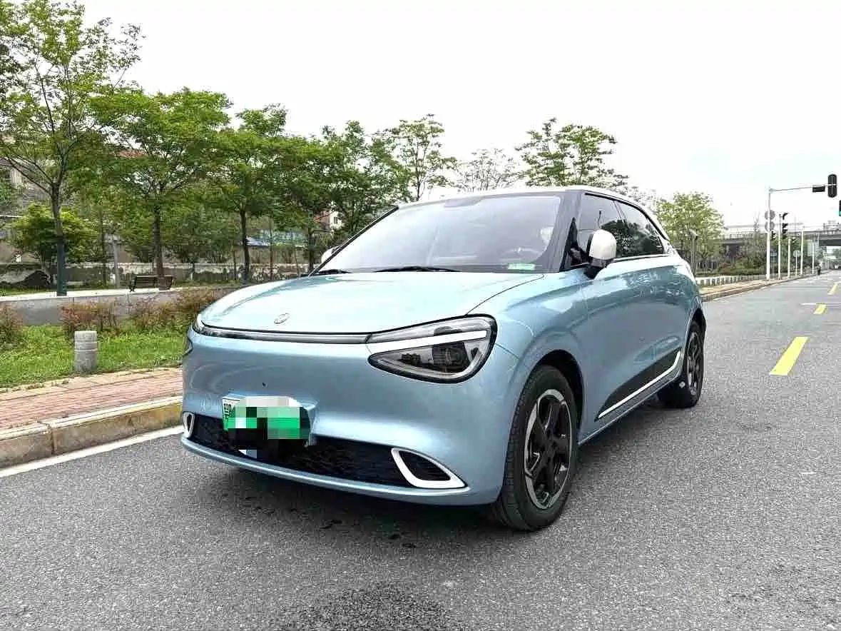 Dongfeng Yipai Nano 01 2024 430 Plus