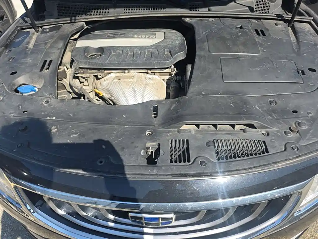 Geely Borui 2016 2016 2.4L Prestige Elegance Type
