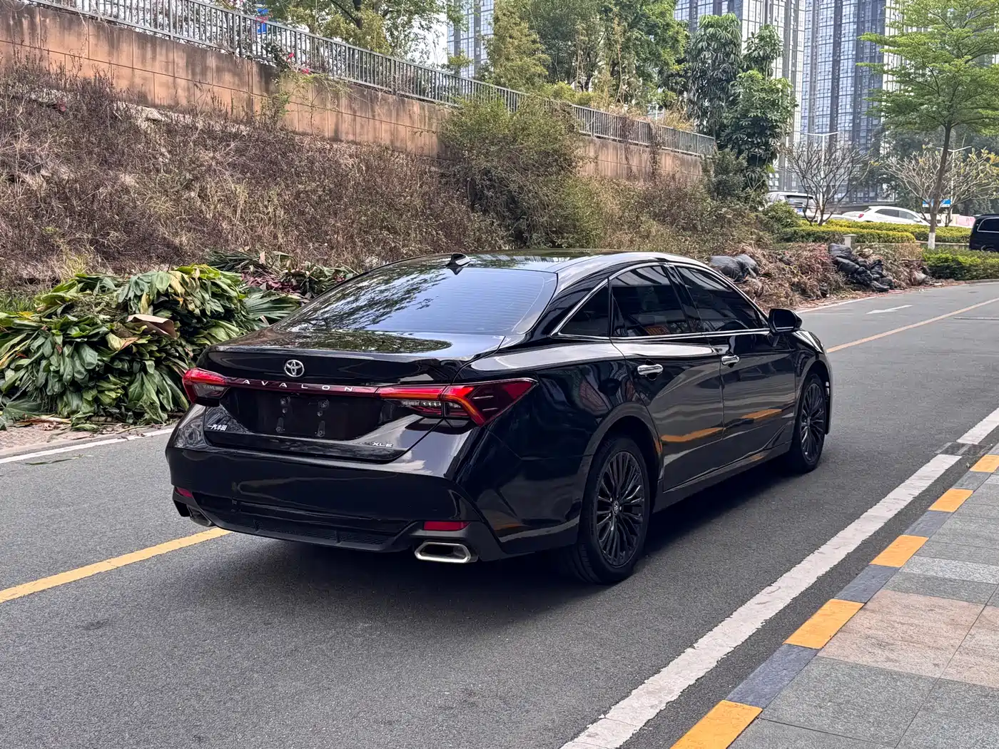 Toyota Avalon 2019 2.0L XLE Premium Edition (China VI) фото 4