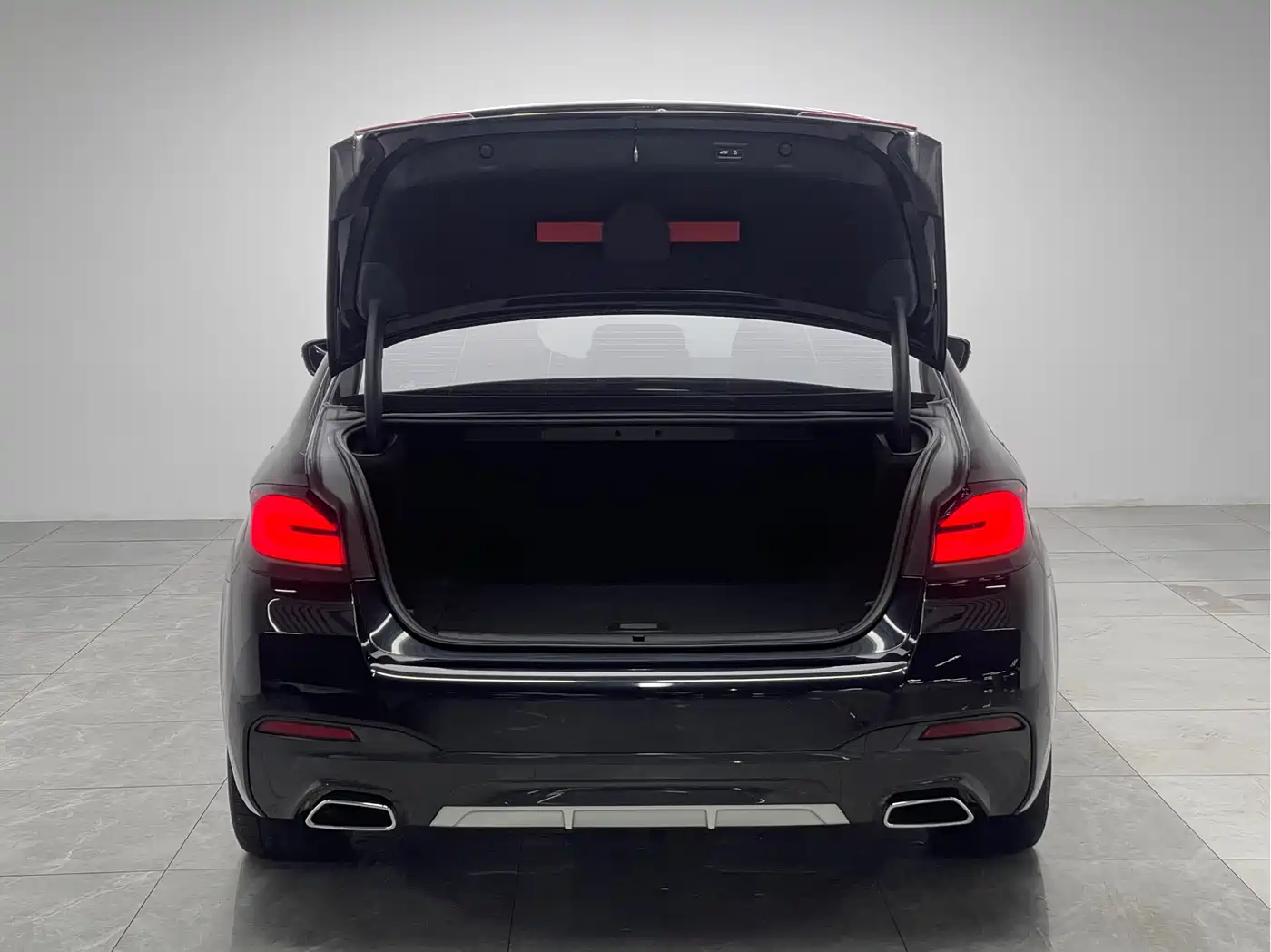 BMW 5 SERIES NEW ENERGY