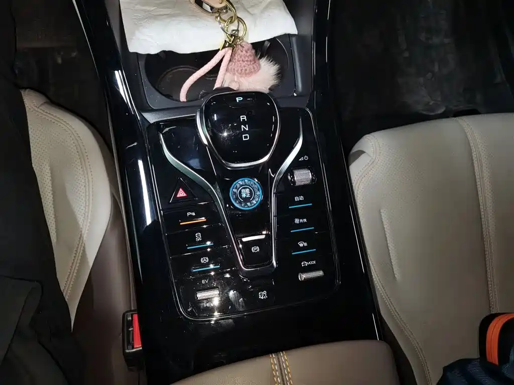 BYD Qin PLUS 2023 Champion Edition DM-i 55KM Leading фото 10