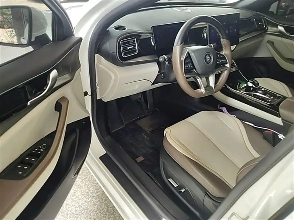 BYD Qin PLUS 2023 Champion Edition EV 610KM Excellence фото 16