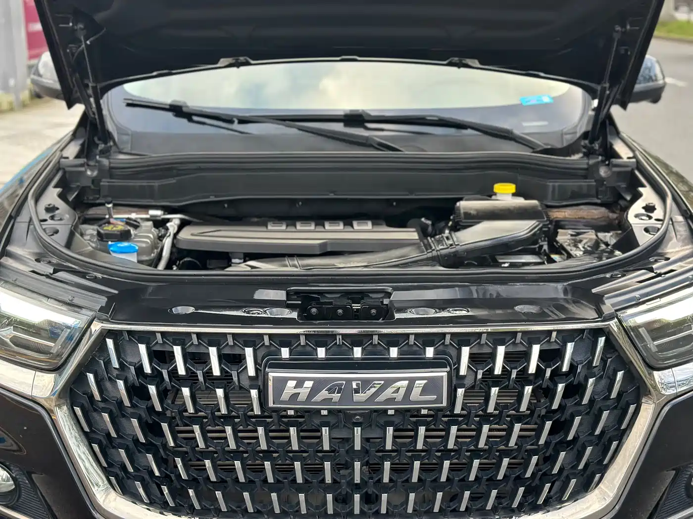 Haval H6 2023 National Trend Edition 1.5T Automatic Champion фото 23