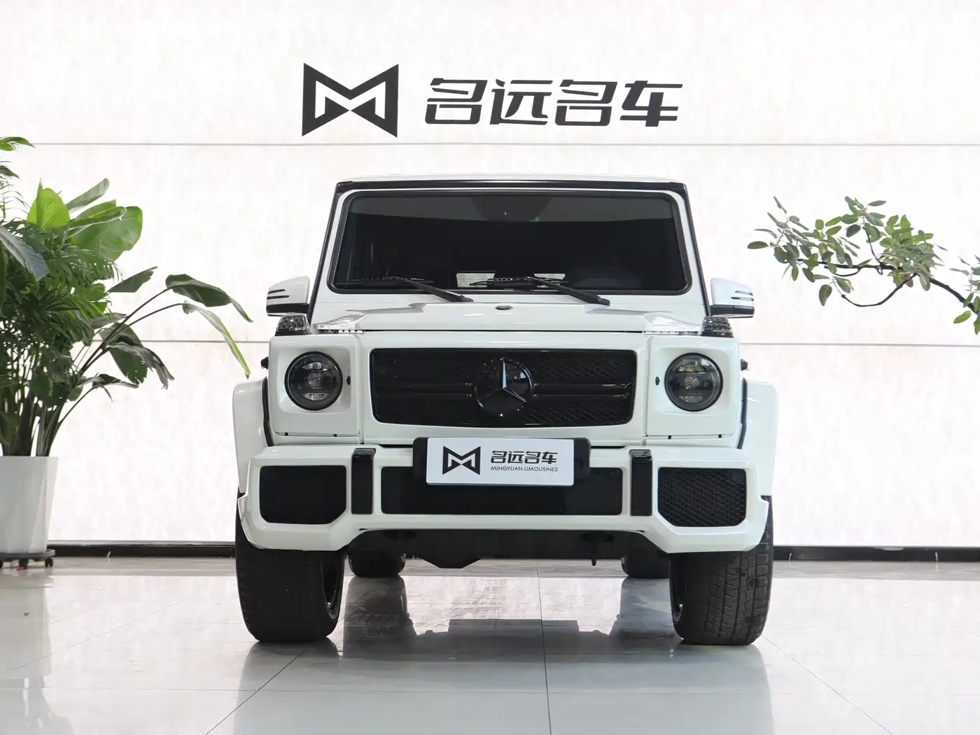Mercedes-Benz G-Class AMG 2013 AMG G 63 фото 2